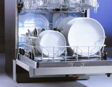 Cleanex Dish Wash