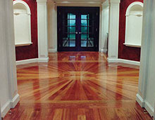Cleanex Floor Care Plus