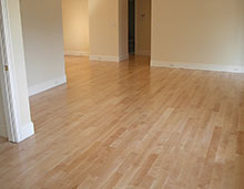Cleanex Hygienic Floor Cleaner 