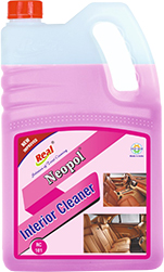 Interior Cleaner